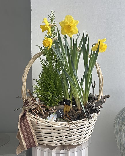 Весеннее пробуждение в корзине с доставкой по Астане