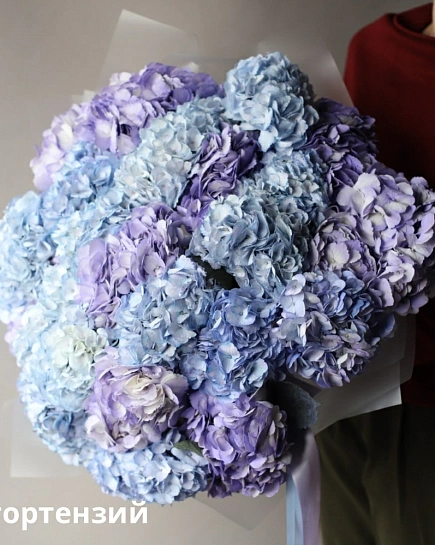 Bouquet of Bouquet of Colombian hydrangeas (25) flowers delivered to Shymkent
