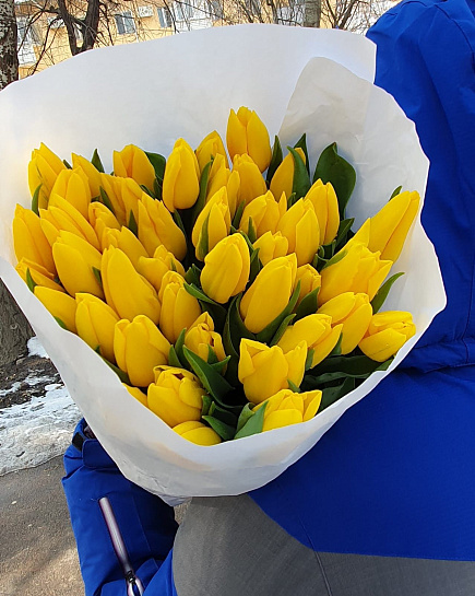 Bouquet of Yellow Tulips wholesale 50 pcs flowers delivered to Almaty