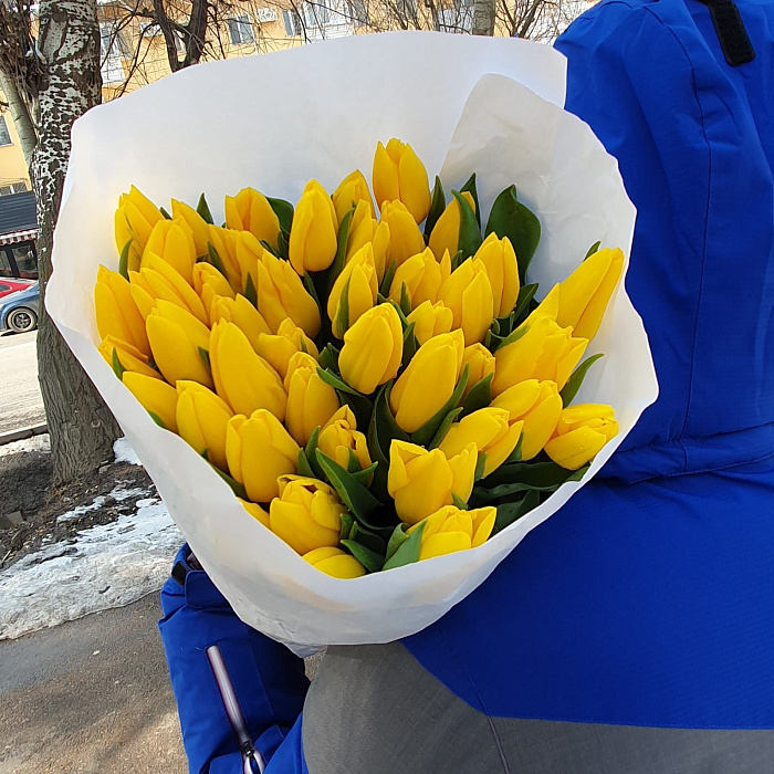 Yellow Tulips wholesale 50 pcs