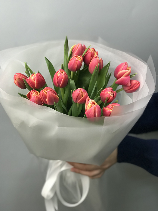 Pionovid tulips 15pcs Pionovid tulips 15pcs