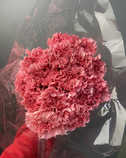 Диантусы в пачке 25 с доставкой по Астане