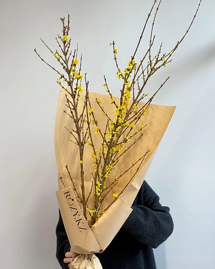 Веточки цветущей форзиции с доставкой по Астане