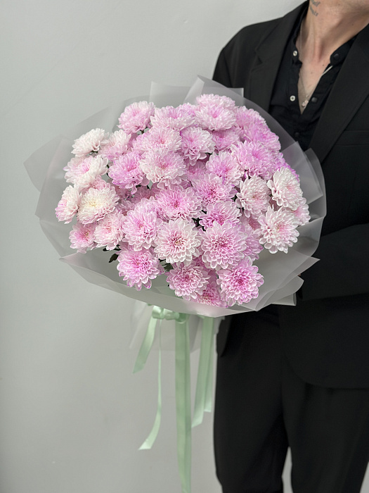 Pink chrysanthemum