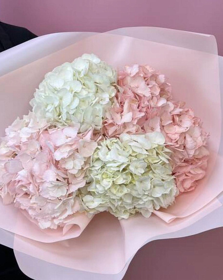 Bouquet of Delicate bouquet of hydrangeas flowers delivered to Almaty