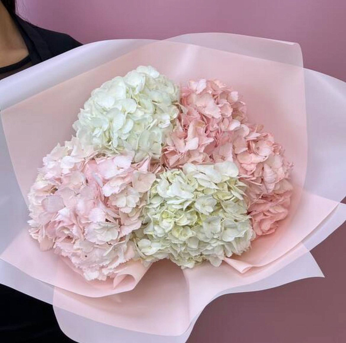 Delicate bouquet of hydrangeas