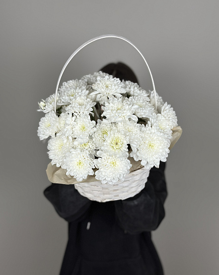 Chrysanthemum in a basket with delivery to Astana