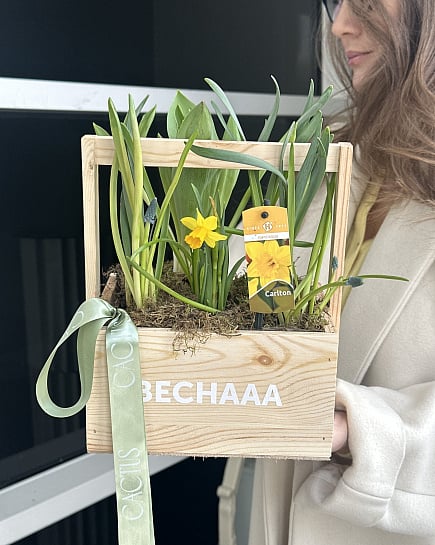 Весенний букет с нарциссами и гиацинтами с доставкой по Астане