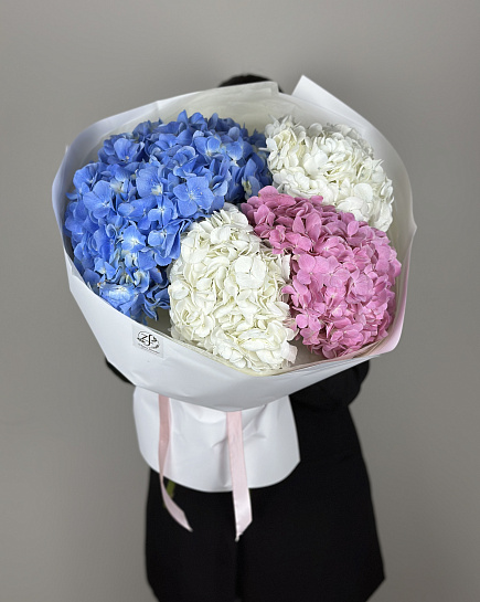 Hydrangea Royal with delivery to Astana