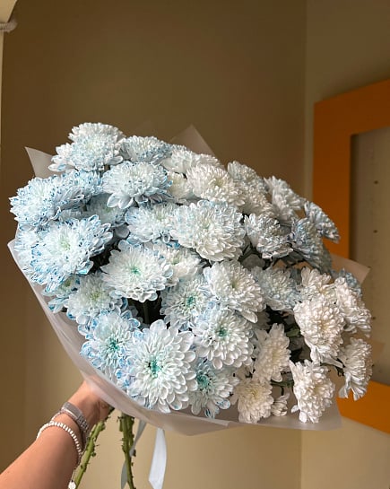 Большой сине-белый букет хризантем with delivery to Astana