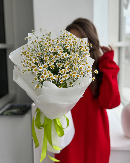 Bouquet of Bouquet of daisies “Summer” flowers delivered to Astana