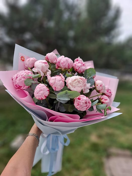 Пионовое облако