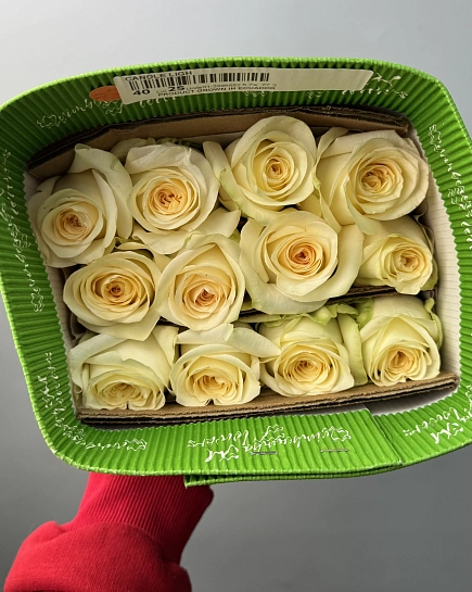 Candelight в пачке 25 шт с доставкой по Астане