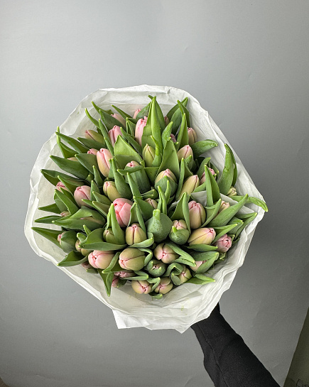 Тюльпаны в пачке (50 шт)  с доставкой по Астане