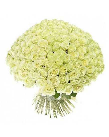 Bouquet of Bouquet 201 white roses flowers delivered to Astana