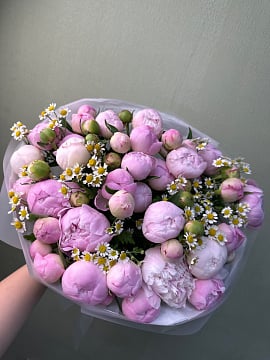 Пионовое облако с полевыми ромашками