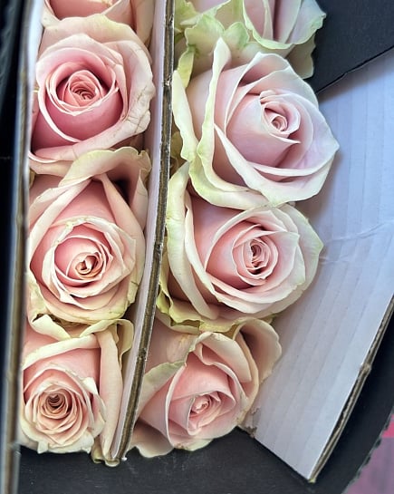 Roses in a pack 10 pcs with delivery to Almaty