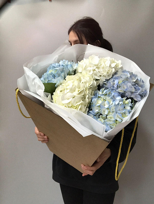Bouquet of Hydrangeas in a box