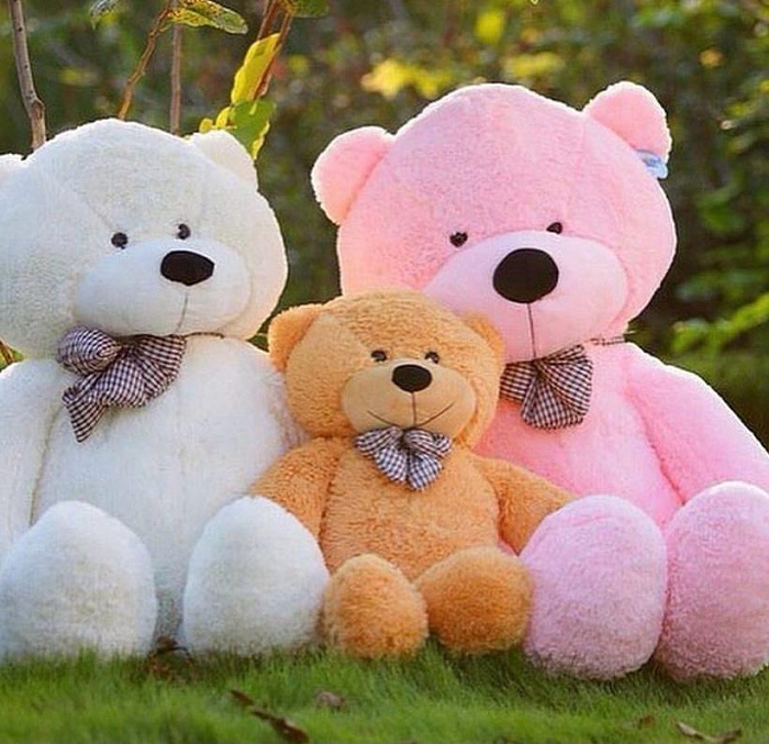 Teddy bears 80 cm