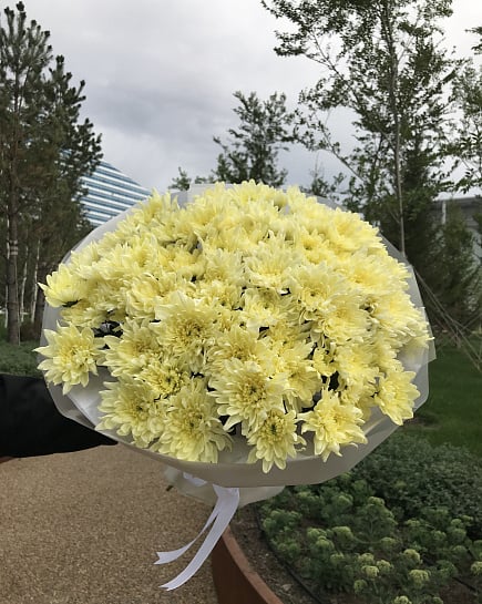 Chrysanthemum with delivery to Astana
