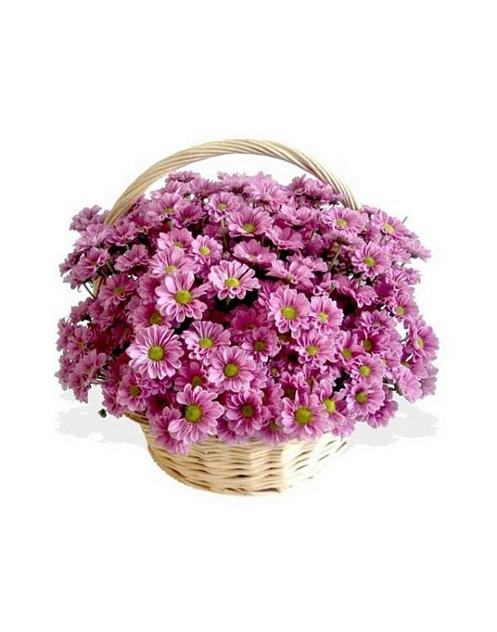 Bouquet of chrysanthemums Mood