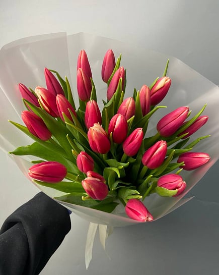 Розовые тюльпаны 25 шт с доставкой по Астане