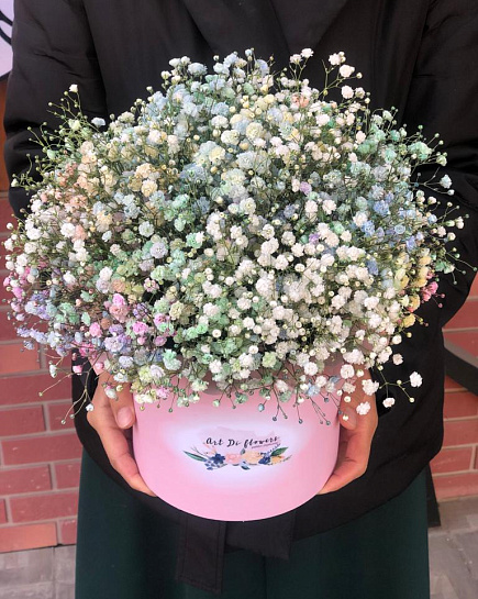 Bouquet of gypsophila 