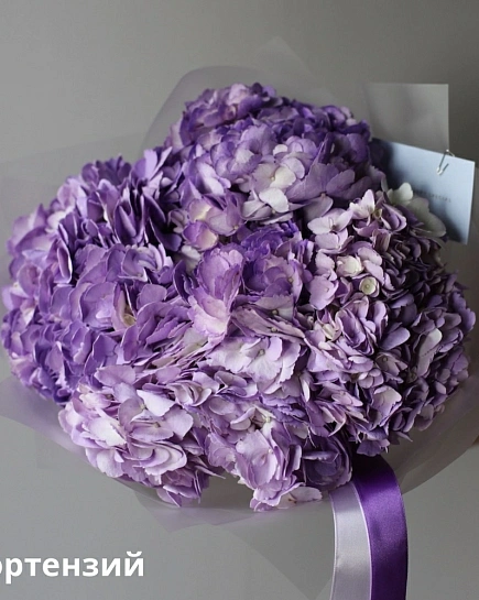 Bouquet of Bouquet of Colombian hydrangeas (5) flowers delivered to Shymkent