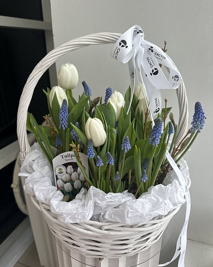 Весенний букет из белых тюльпанов и синих васильков с доставкой по Астане
