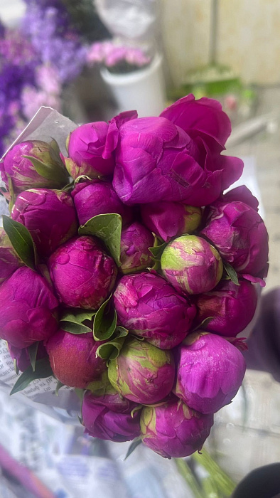 Raspberry peonies in a pack Raspberry peonies in a pack