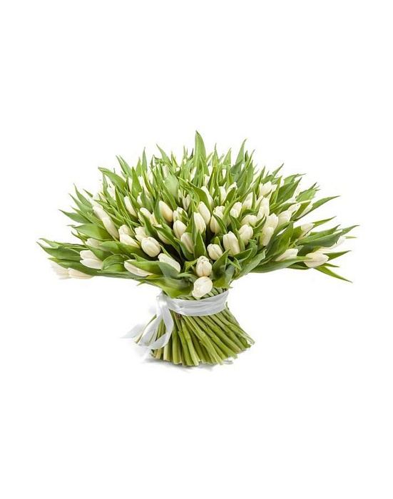 Bouquet 201 white tulips