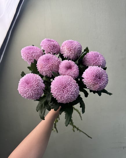 Момоко в пачках (10 шт) с доставкой по Астане