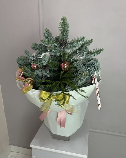 Елка в букете с доставкой по Астане