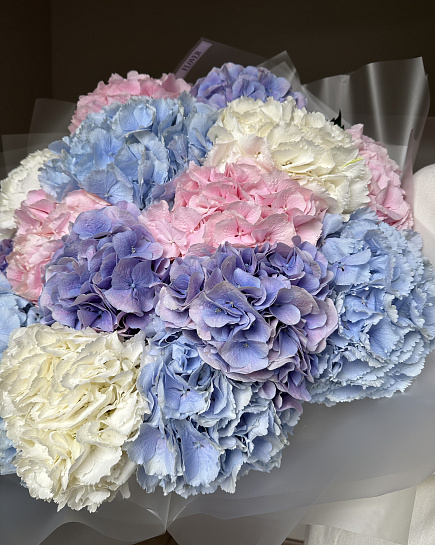 Mix 15 hydrangeas with delivery to Astana