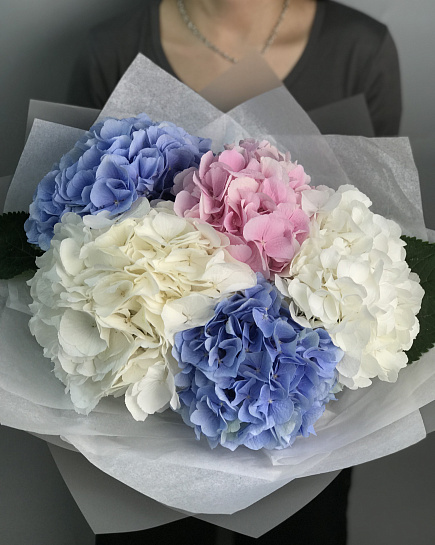 Bouquet of 5 hydrangeas mix flowers delivered to Astana