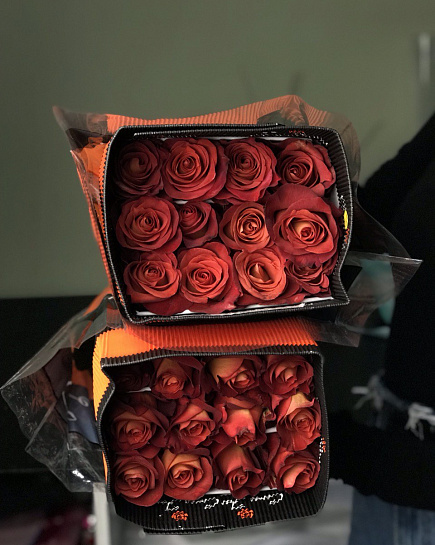 Bouquet of 25 roses in a pack (shade to the taste of the florist) flowers delivered to Astana
