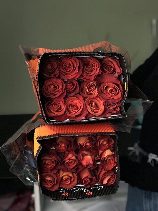 25 roses in a pack (shade to the taste of the florist)