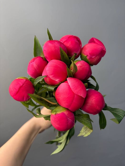 “Coral Charm” пионы в пачках (10шт) “Coral Charm” пионы в пачках (10шт)