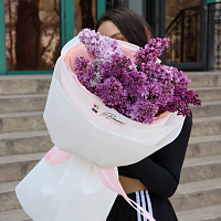 На сайте