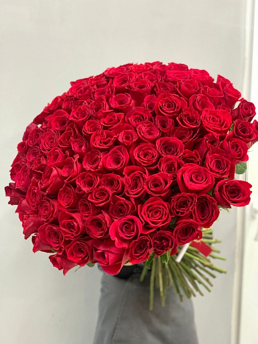 151 роза красная 70 см 