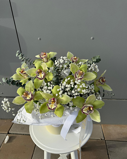 Orchids in a box with delivery to Astana