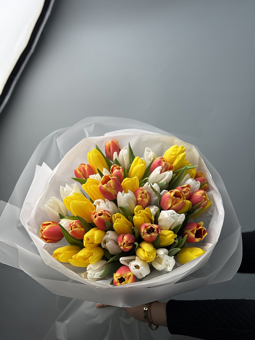 51 tulip mix 51 tulip mix