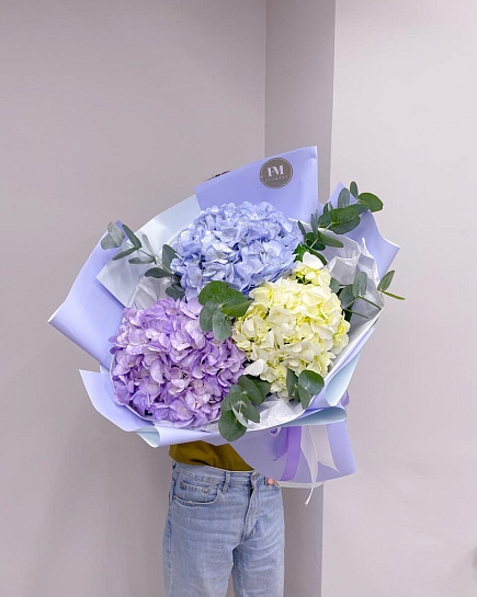 Bouquet of hydrangea with eucalyptus with delivery to Astana