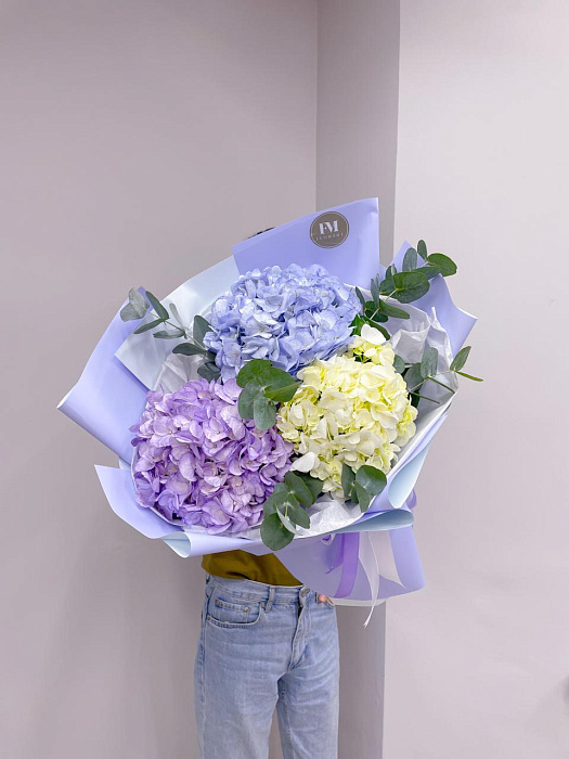 Bouquet of hydrangea with eucalyptus