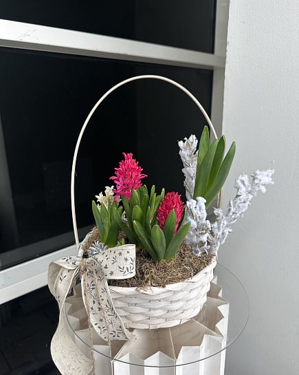 Весенняя корзина с гиацинтами с доставкой по Астане