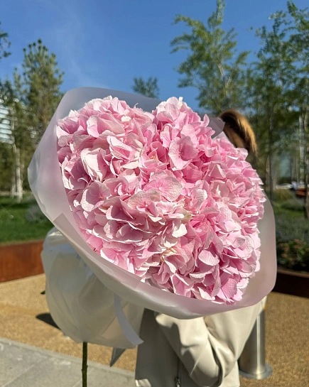 Гортензии в букете 5 шт  с доставкой по Астане