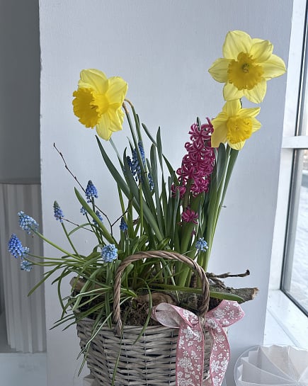 Весенняя корзина с нарциссами и гиацинтами с доставкой по Астане