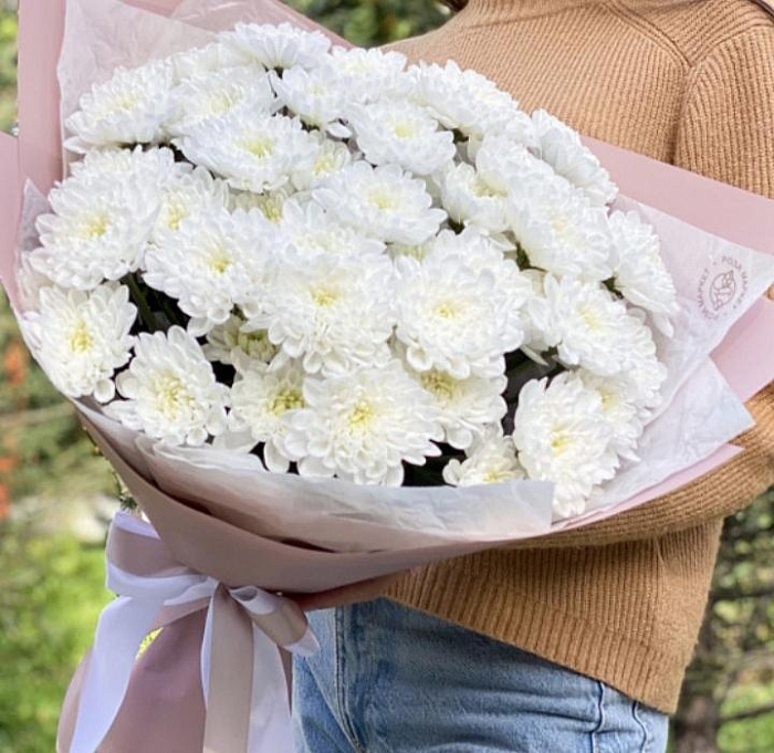 Delicate bouquet of Chrysanthemums