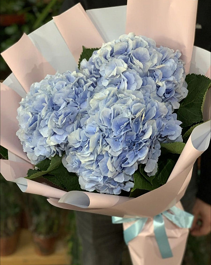 Bouquet of Hydrangea blue flowers delivered to Rudniy