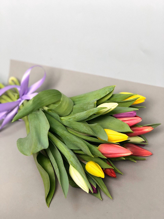 Stunning tulips